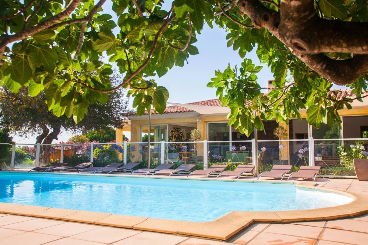 Maison Kiwi Avec Piscine Chauffee Terrasse Jardin Et Bbq A Calvi Calvi  Bagian luar foto