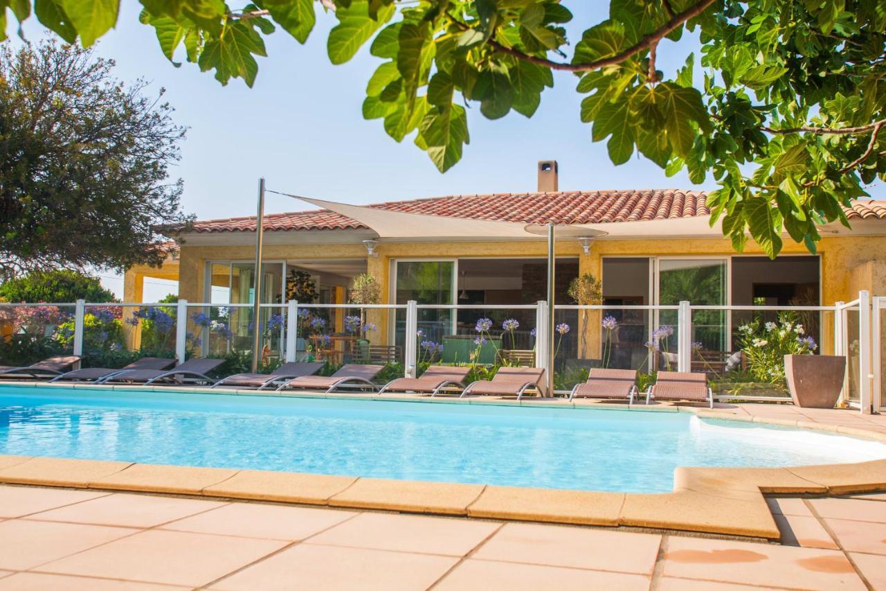 Maison Kiwi Avec Piscine Chauffee Terrasse Jardin Et Bbq A Calvi Calvi  Bagian luar foto